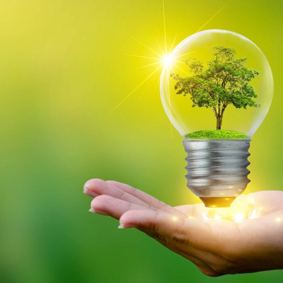 Concept Of Environmental Conservation Tree Growing Inside Lightbulb